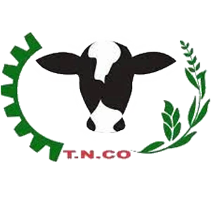 Talise 